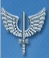 Logo Aeronautica do Brasil