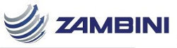 Logo Instituto Zambini