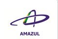Logo Amazul