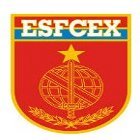 Logo Esfcex